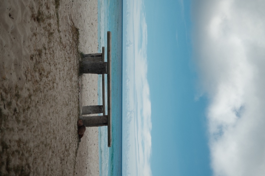 Photograph, October 2025