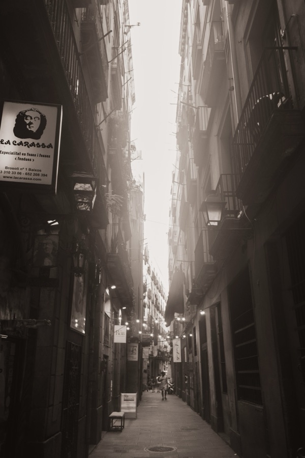 Photograph, July 2022