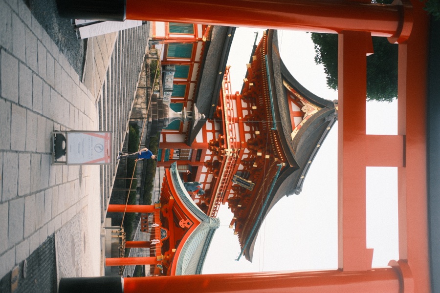 Photograph, July 2025