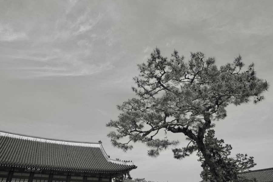 Photograph, May 2024