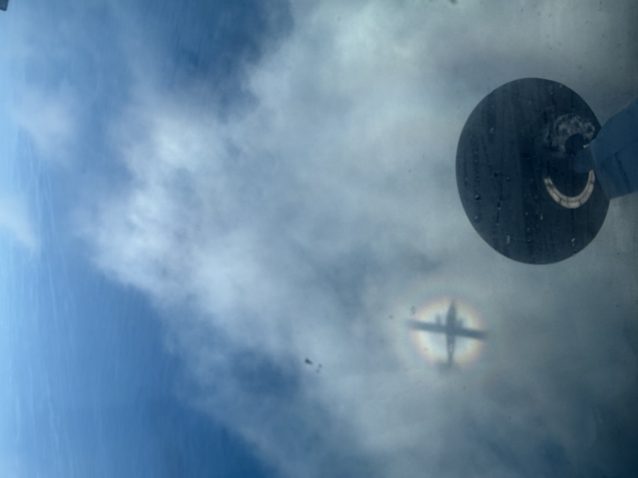 Photograph, October 2025